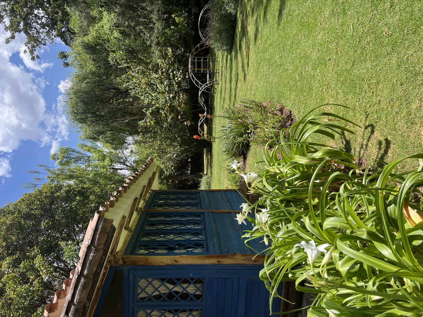 A blue garden cottage among white lilies