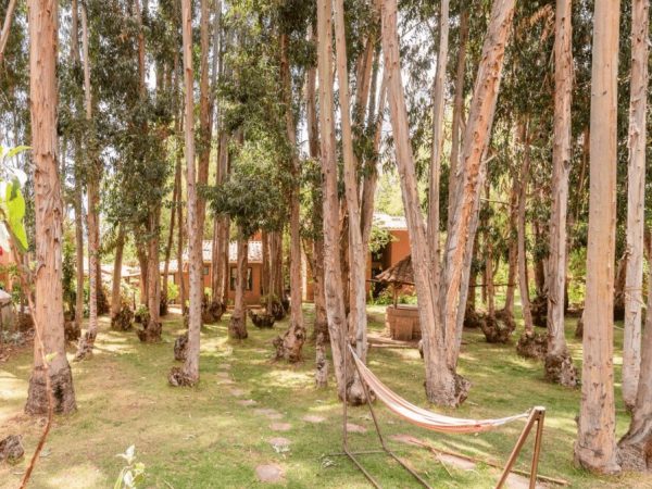 Darkness and silence retreat in Peru